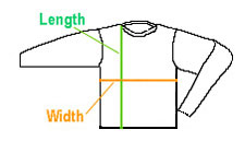 Bella Ladies' Long Sleeve T-shirt