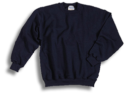 Hanes Youth Sweatshirt