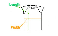 Brightline Ladies' Cap Sleeved Raglan Baseball T-shirt Size Chart